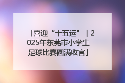 喜迎“十五运”｜2025年东莞市小学生足球比赛圆满收官