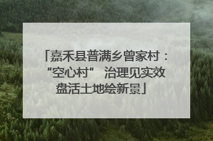 嘉禾县普满乡曾家村：“空心村” 治理见实效 盘活土地绘新景