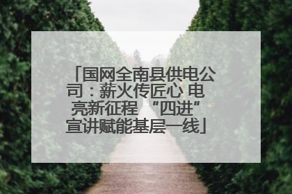 国网全南县供电公司：薪火传匠心 电亮新征程 “四进”宣讲赋能基层一线