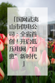 国网武夷山市供电公司：全省首创！开启低压电网“自愈”新时代