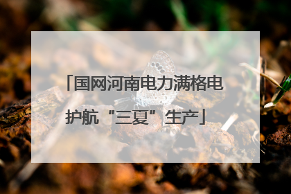 国网河南电力满格电护航“三夏”生产