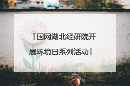 国网湖北经研院开展环境日系列活动