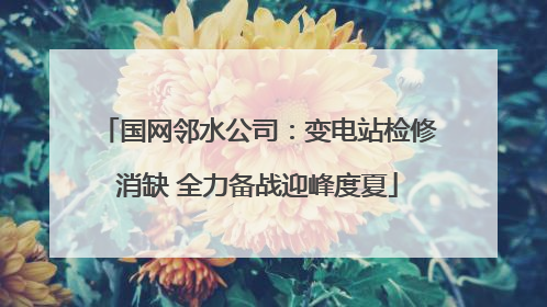 国网邻水公司：变电站检修消缺 全力备战迎峰度夏
