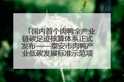国内首个肉鸭全产业链碳足迹核算体系正式发布——泰安市肉鸭产业低碳发展标准示范项目顺利通过验收