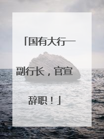 国有大行一副行长，官宣辞职！