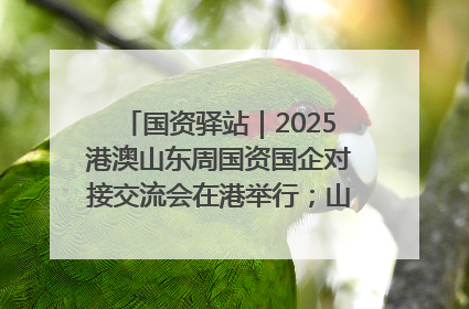 国资驿站｜2025港澳山东周国资国企对接交流会在港举行；山东黄金成功在境外发行3亿美元绿色债券