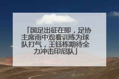 国足出征在即，足协主席雨中观看训练为球队打气，王钰栋期待全力冲击印尼队