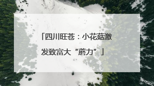 四川旺苍：小花菇激发致富大“蘑力”