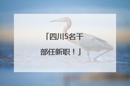 四川5名干部任新职！