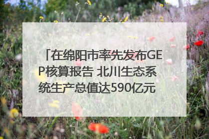在绵阳市率先发布GEP核算报告 北川生态系统生产总值达590亿元｜新闻发布最前线