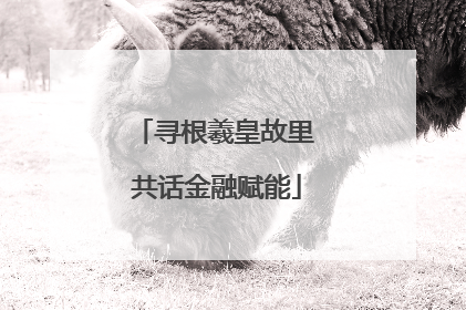 寻根羲皇故里 共话金融赋能