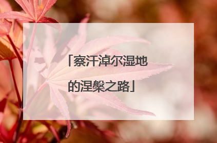 察汗淖尔湿地的涅槃之路