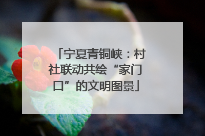 宁夏青铜峡：村社联动共绘“家门口”的文明图景