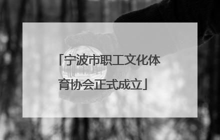 宁波市职工文化体育协会正式成立