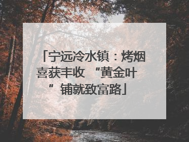 宁远冷水镇：烤烟喜获丰收 “黄金叶”铺就致富路