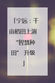 宁远：千亩稻田上演 “智慧种田” 升级