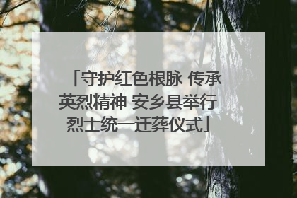 守护红色根脉 传承英烈精神 安乡县举行烈士统一迁葬仪式