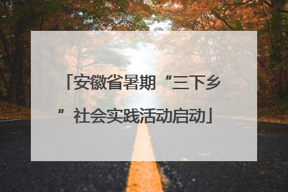 安徽省暑期“三下乡”社会实践活动启动