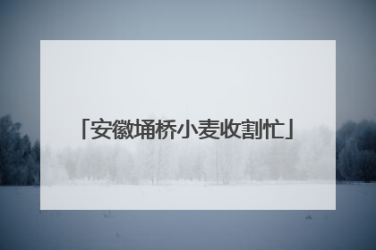 安徽埇桥小麦收割忙