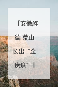 安徽旌德 荒山长出“金疙瘩”
