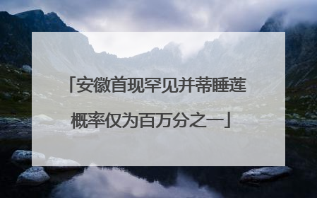 安徽首现罕见并蒂睡莲 概率仅为百万分之一