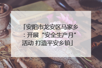 安阳市龙安区马家乡：开展“安全生产月”活动 打造平安乡镇