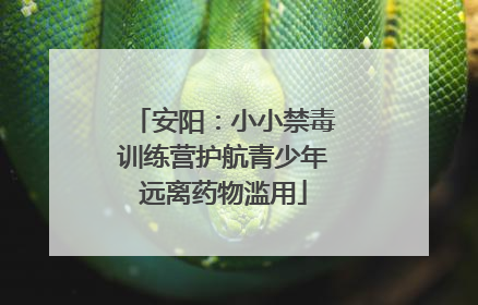 安阳：小小禁毒训练营护航青少年远离药物滥用