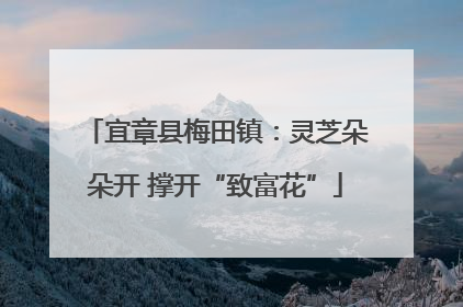 宜章县梅田镇：灵芝朵朵开 撑开“致富花”