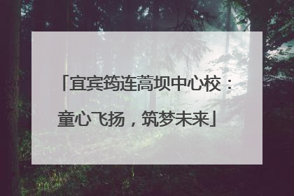 宜宾筠连蒿坝中心校：童心飞扬，筑梦未来