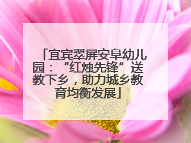 宜宾翠屏安阜幼儿园：“红烛先锋”送教下乡，助力城乡教育均衡发展