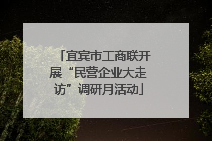 宜宾市工商联开展“民营企业大走访”调研月活动