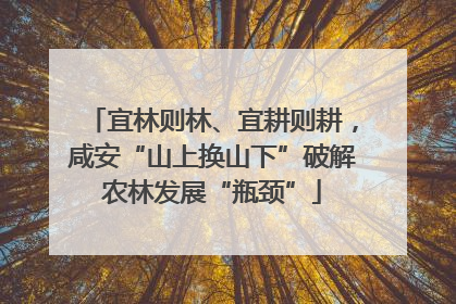 宜林则林、宜耕则耕，咸安“山上换山下”破解农林发展“瓶颈”