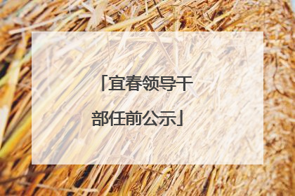 宜春领导干部任前公示