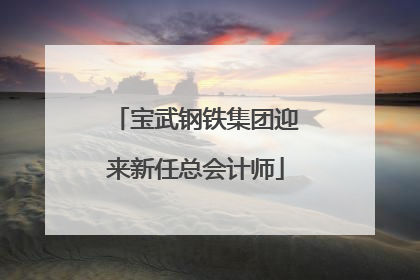 宝武钢铁集团迎来新任总会计师