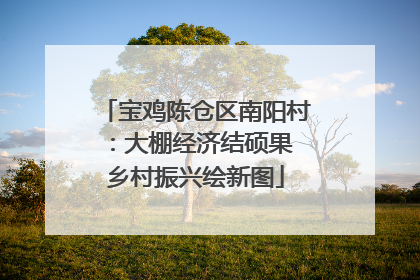 宝鸡陈仓区南阳村：大棚经济结硕果 乡村振兴绘新图