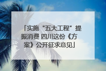 实施“五大工程”提振消费 四川这份《方案》公开征求意见