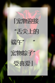 宠物迎接“舌尖上的端午” “宠物粽子”受喜爱