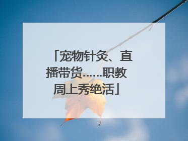 宠物针灸、直播带货……职教周上秀绝活