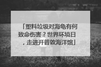 塑料垃圾对海龟有何致命伤害？世界环境日，走进开普敦海洋馆