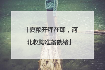 夏粮开秤在即，河北收购准备就绪