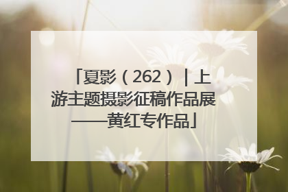 夏影（262）｜上游主题摄影征稿作品展——黄红专作品