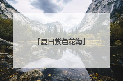 夏日紫色花海