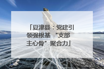 夏津县：党建引领强根基 “支部主心骨”聚合力