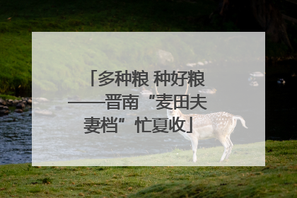 多种粮 种好粮——晋南“麦田夫妻档”忙夏收