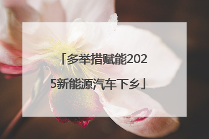 多举措赋能2025新能源汽车下乡