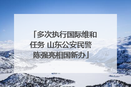 多次执行国际维和任务 山东公安民警陈强亮相国新办