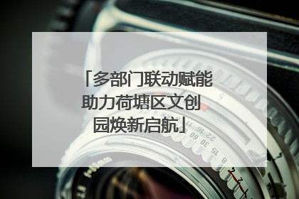 多部门联动赋能 助力荷塘区文创园焕新启航