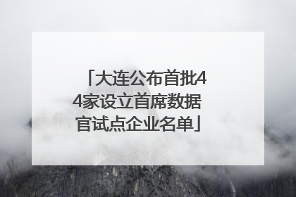 大连公布首批44家设立首席数据官试点企业名单
