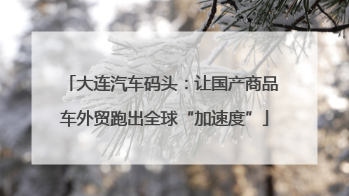 大连汽车码头：让国产商品车外贸跑出全球“加速度”