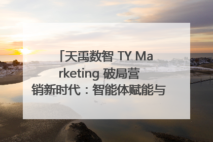 天禹数智 TY Marketing 破局营销新时代：智能体赋能与人才培育双轮驱动